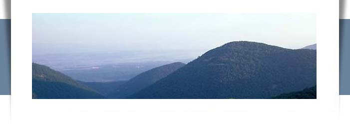 wheelchair user at scenic mountain overlook